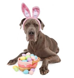 Easter - Hallam Park Pet Resort